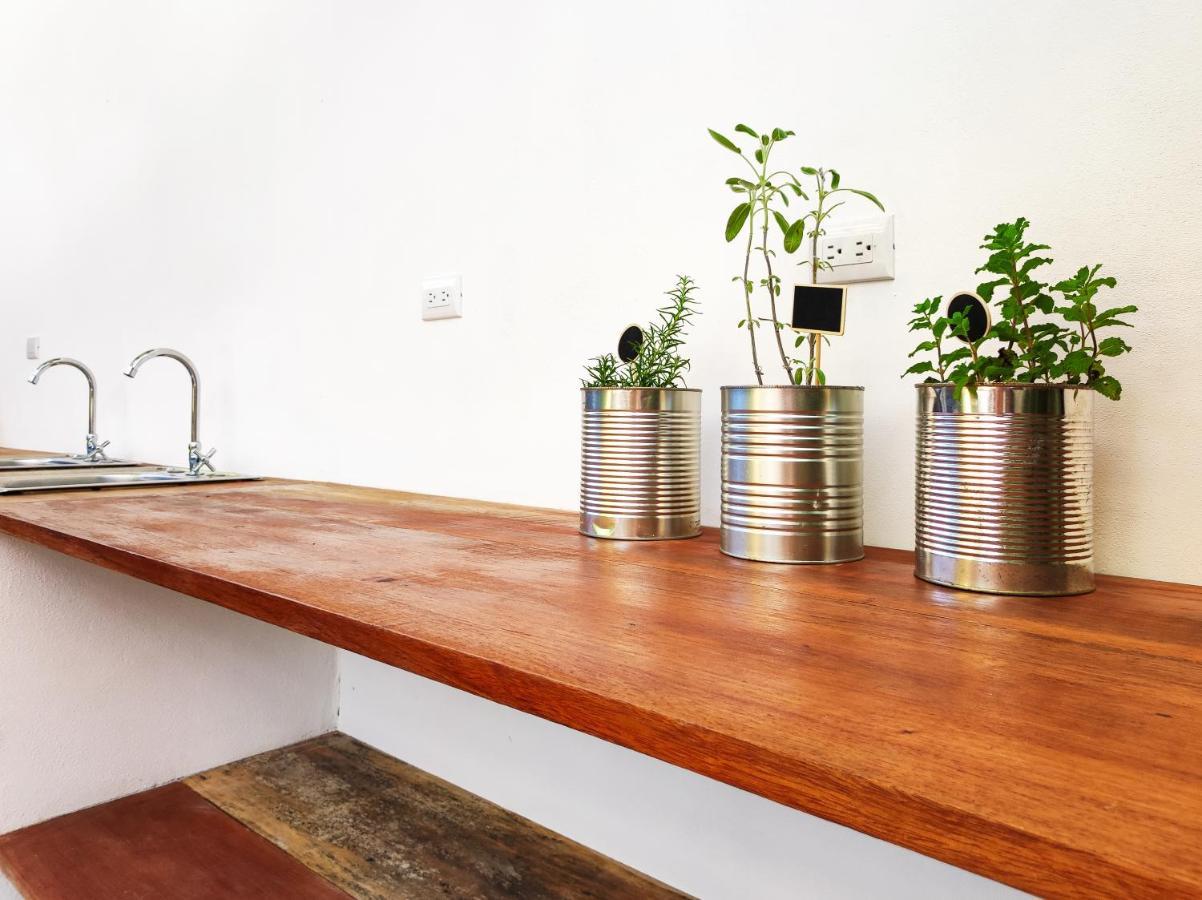 Ico Living Hostel Playa Santa Teresa  Luaran gambar